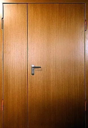 Противопожарная дверь Fahrenheit-60-3 (Противопожарная МДФ)